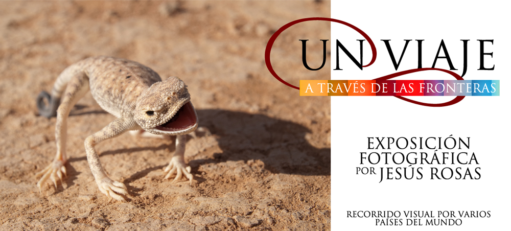 Splash-Spanish-05-1000x452